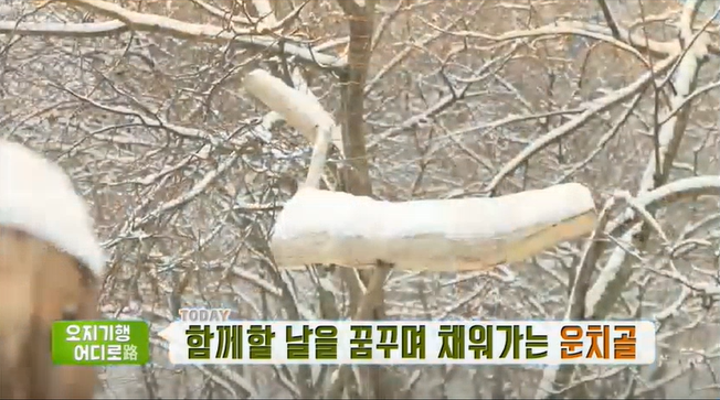 운치골 사진 2
