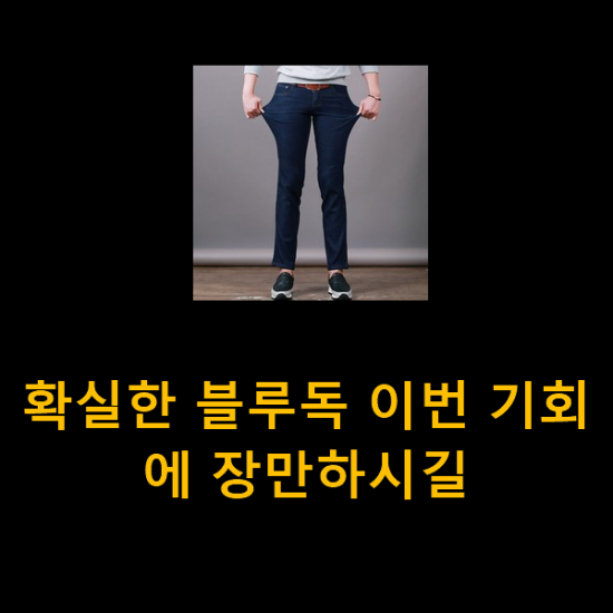  확실한 블루독 이번 기회에 장만하시길