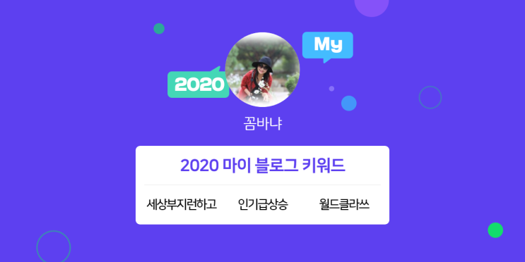  [2020 마이블로그 리포트] 한 눈에 보는 올해 내 블로그 데이터!