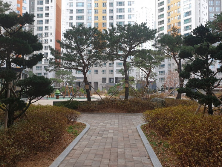  실거래 기획조사 및 합동점검(feat. 탈세, 집값 담합)