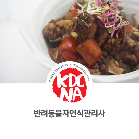  [전주 박은정펫푸드아카데미 대전/세종/천안/부산/대구/울산] 반려동물자연식관리사 자격증 교육 강아지 고양이 화식만들기_693