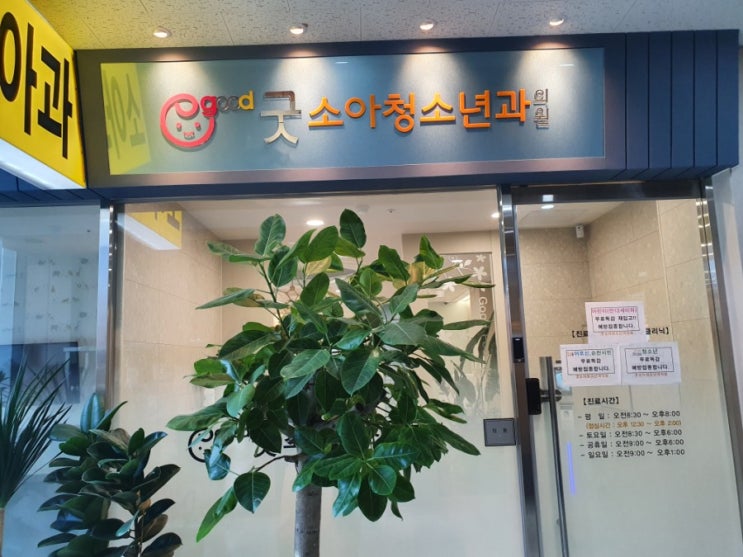 순천 신대 소아과 바로 진료가능한 굿소아과