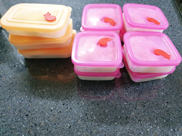 국산 실리콘 냉동밥 전자레인지 보관용기/플라이토 실리콘밥팩 구입후기