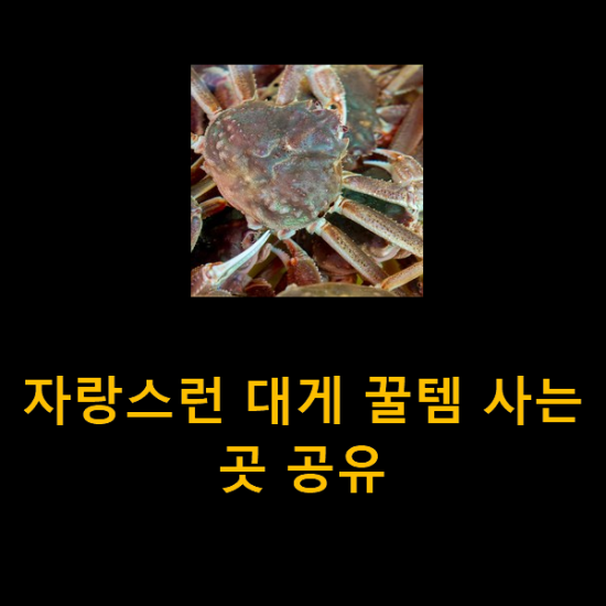 자랑스런 대게 꿀템 사는곳 공유