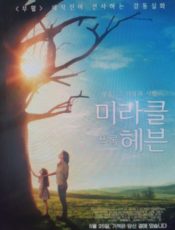  [넷플렉스]영화추천 미라클프롬헤븐 감동 기적의 실화 영화!!꼭 한번 쯤은 봐야 할 영화 !!