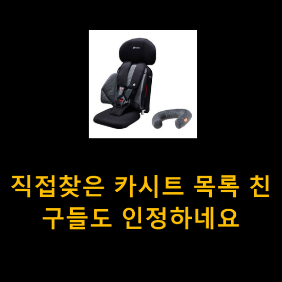  직접찾은 카시트 목록 친구들도 인정하네요
