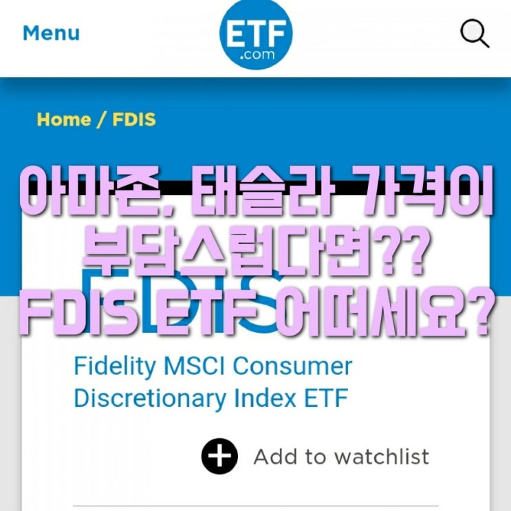 아마존, 테슬라 주식 가격이 부담된다면 FDIS ETF를 사세요!