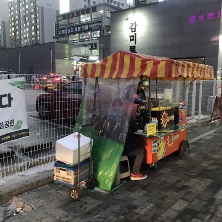  붕어빵 위생,,눈감아 ️/ 원주 단구동 붕어빵 / 강아지와함께하는 일상