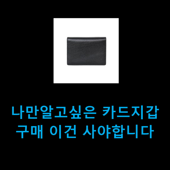  나만알고싶은 카드지갑 구매 이건 사야합니다