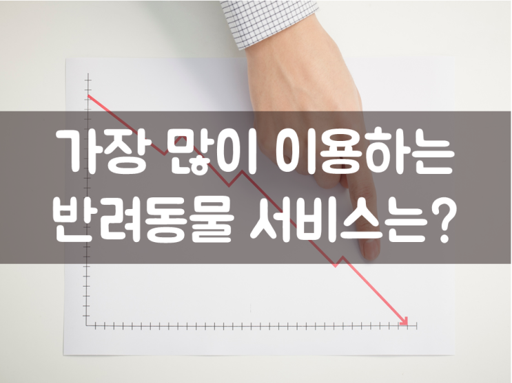  가장 많이 이용하는 반려동물 서비스는?