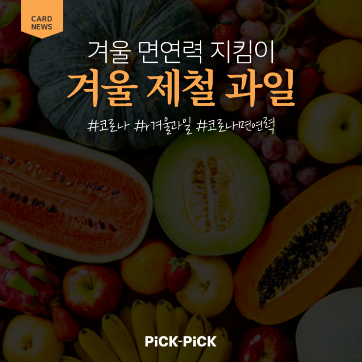  [겨울 제철 과일] 추운 겨울! 면연력 지킴이, 겨울 제철 과일 추천