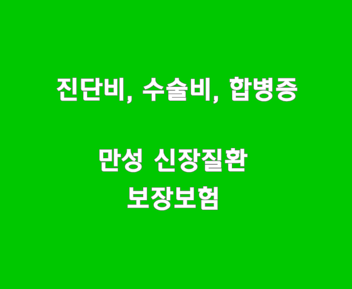  콩팥, 신장질환, 만성신부전증 보장플랜_퍼펙트플러스종합보험HI2010