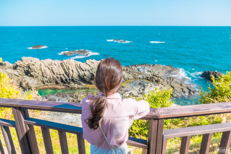  신비로웠던 경주 양남 주상절리
