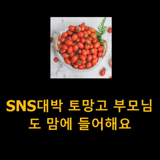 SNS대박 토망고 부모님도 맘에 들어해요