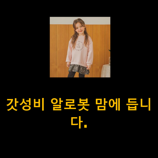  갓성비 알로봇 맘에 듭니다.