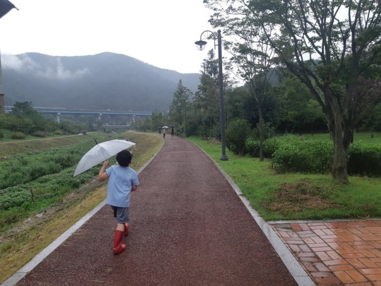 마산 현동 감성 산책로 우산천 거리, 비오는날 거리 걷기