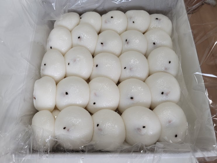  인천가정동떡집 택배도 되는 야심잔기지떡 가정동점에서 떡 주문해서 먹기