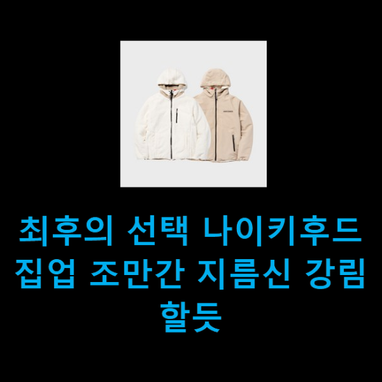  최후의 선택 나이키후드집업 조만간 지름신 강림할듯