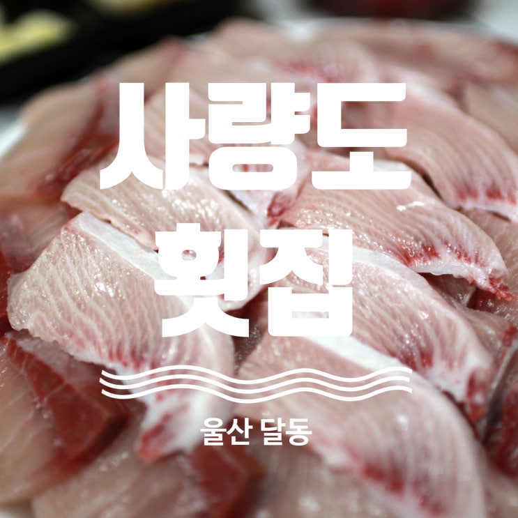  울산 사량도횟집 대방어 포장!! 울산 자연산 대방어로 유명한 사량도자연산횟집!!
