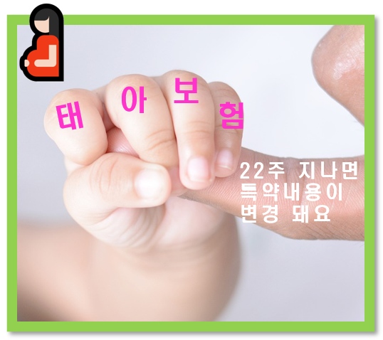  태아보험22주 전후 특약 변경사항