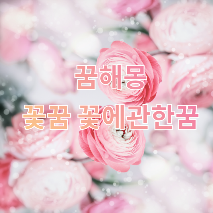  [꿈해몽] 꽃꿈,꽃에관한꿈