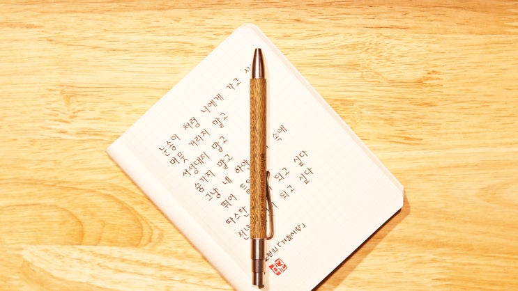  눈송이 처럼 너에게 가고 싶다 (명시 필사)