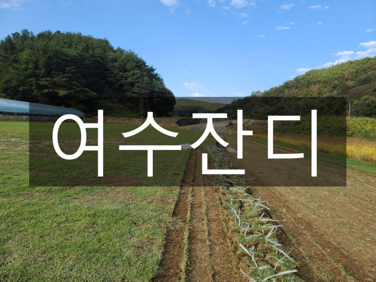  해양관광도시 여수 잔디 주택으로 배송