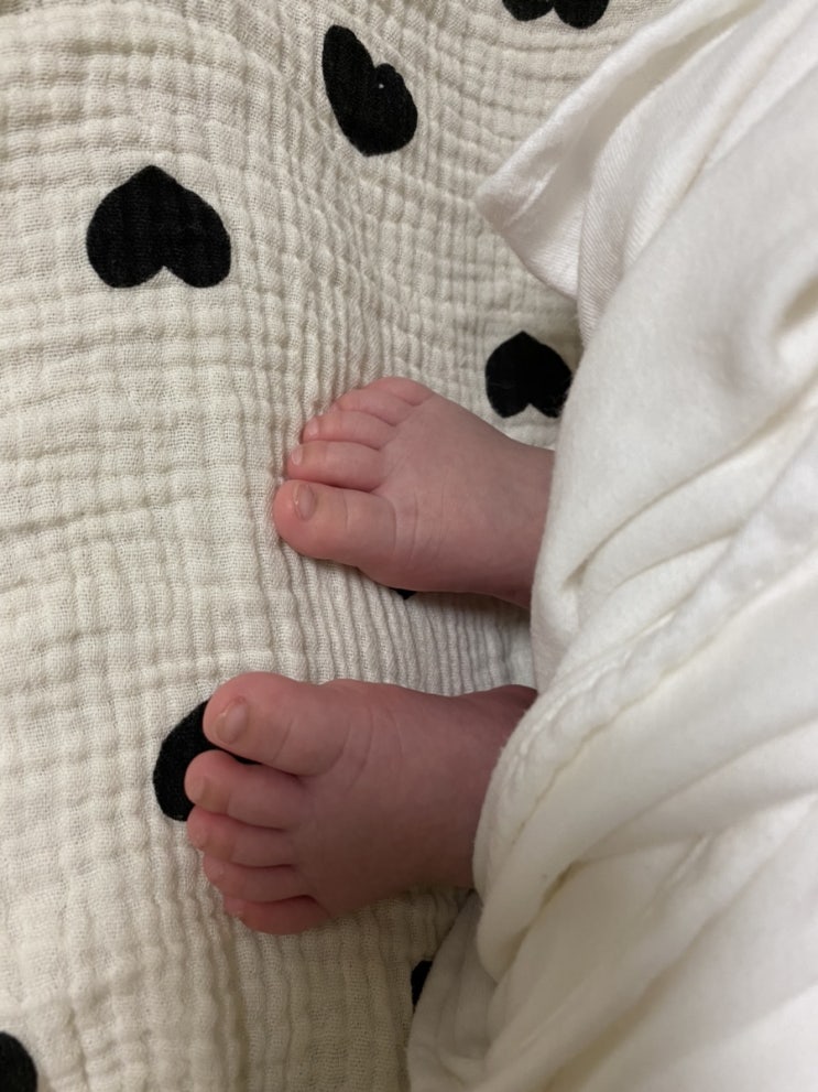  생후44일차 분유 개우는 아기를 위한 70도 분유타기 사카자키균예방법