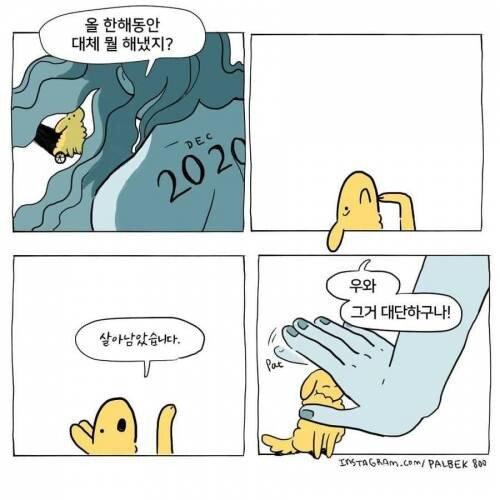  자네 2020년 올 한해동안 대체 뭘 했나?