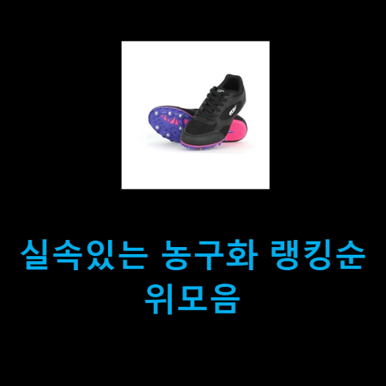  실속있는 농구화 랭킹순위모음