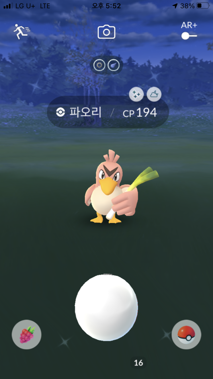  간만에 피카츄, 파오리 이로치