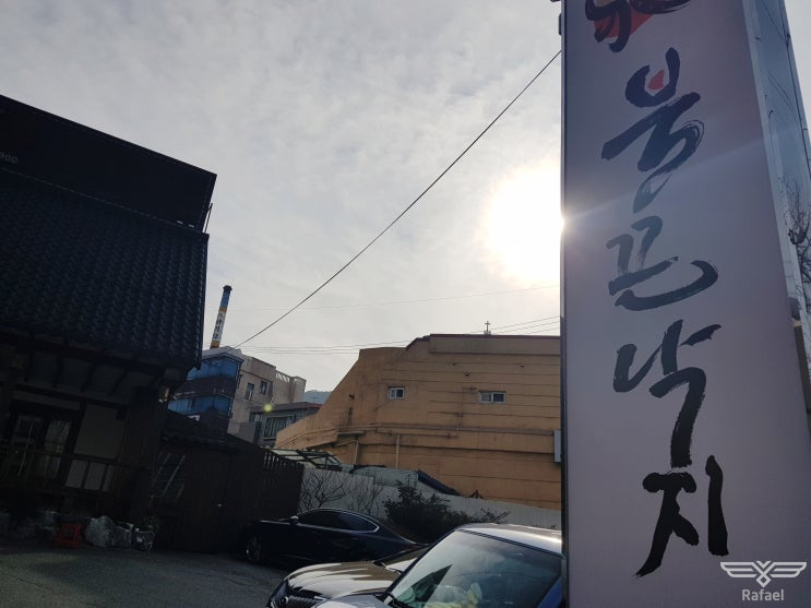  불끈낙지 피자와 낙지덮밥으로 배부르게 내돈내산 리뷰