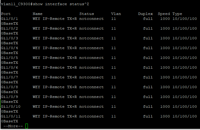 CISCO NETWORK SWITCH config 설정 방법 show ip status config backup 백업 상태 체크 ...