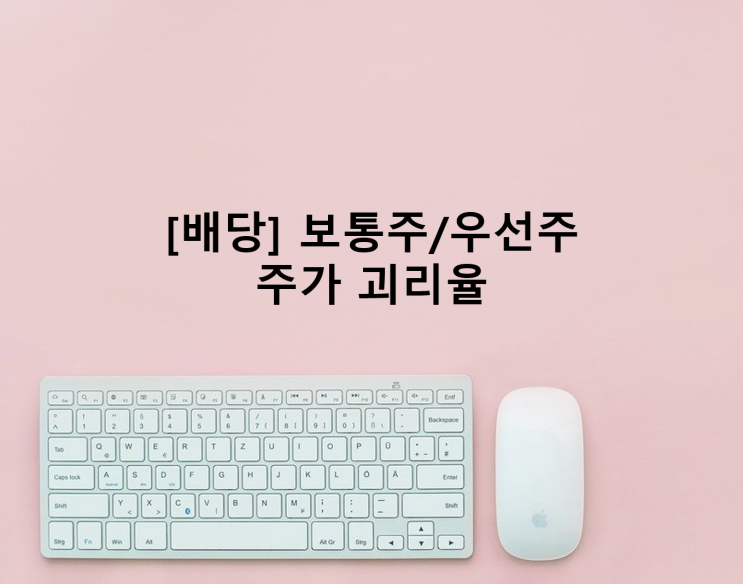  [배당] 보통주/우선주의 주가 괴리율