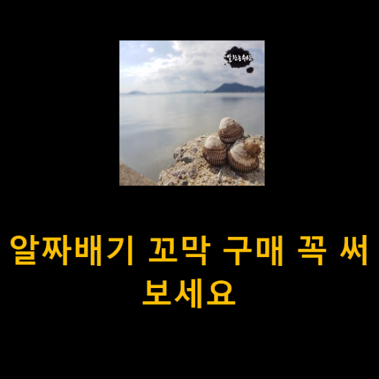 알짜배기 꼬막 구매 꼭 써보세요