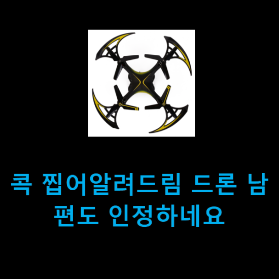  콕 찝어알려드림 드론 남편도 인정하네요