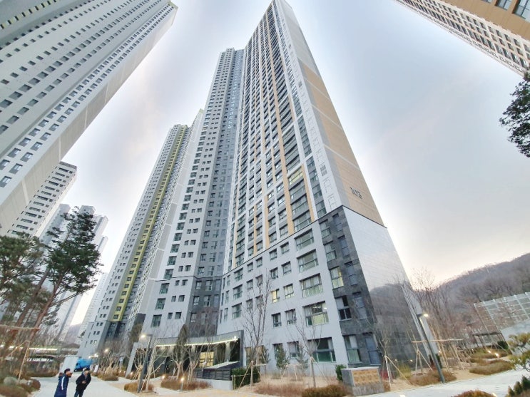  아파트 열차단단열필름 창문 사생활보호도 ok 어떤게 좋을까?