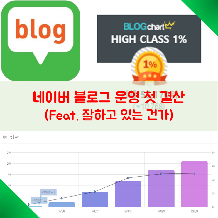 블로그 운영 첫 결산(D+48일) 블로그 운영 첫 결산(D+48일)