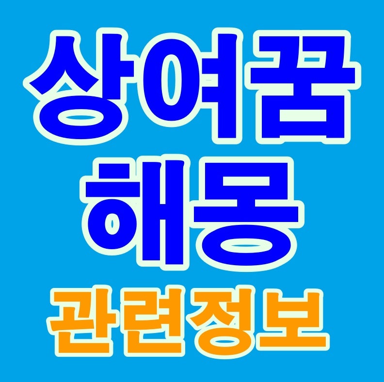 상여꿈 해몽 상여보는꿈 상여나가는꿈 상여가지나가는꿈 꽃상여꿈