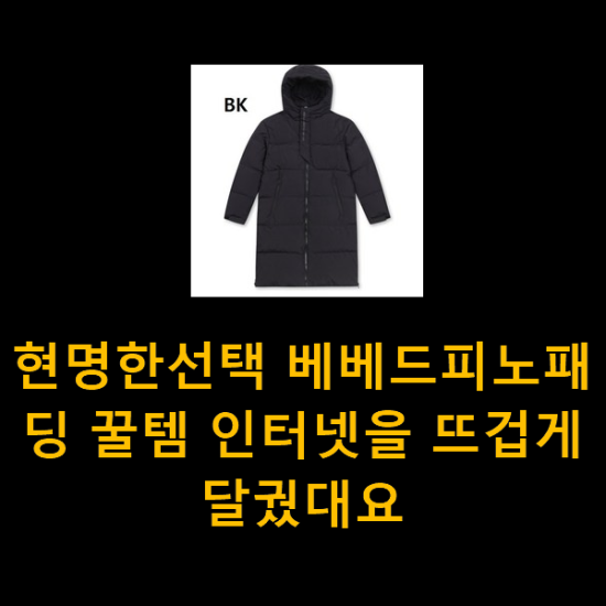 현명한선택 베베드피노패딩 꿀템 인터넷을 뜨겁게 달궜대요