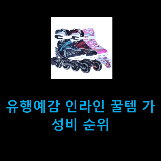  유행예감 인라인 꿀템 가성비 순위