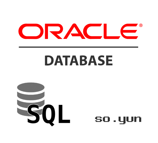  [Oracle] TABLE / CREATE / DataType / 주석