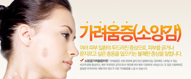 가려워서 너무힘든 체부백선, 두피백선, 완선(사타구니 백선), 무좀 - 극심한 가려움 : 네이버 블로그