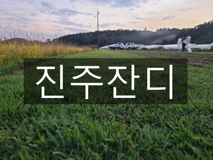  교육과 문화의 도시 진주 잔디 배송