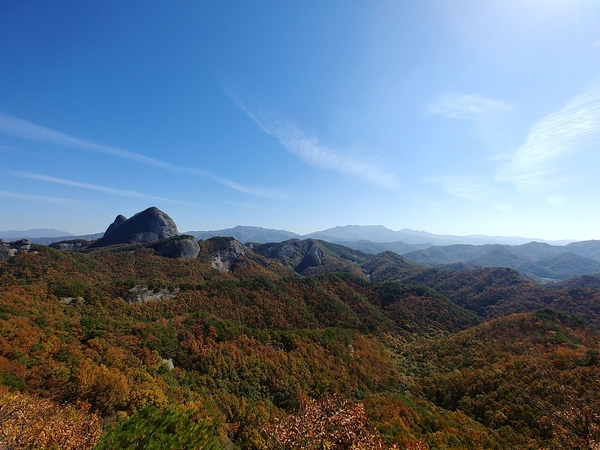  (귀농 귀산촌) 숲과 임업에 관심을 갖는 사람들이 늘어나고 있다.(1/2)