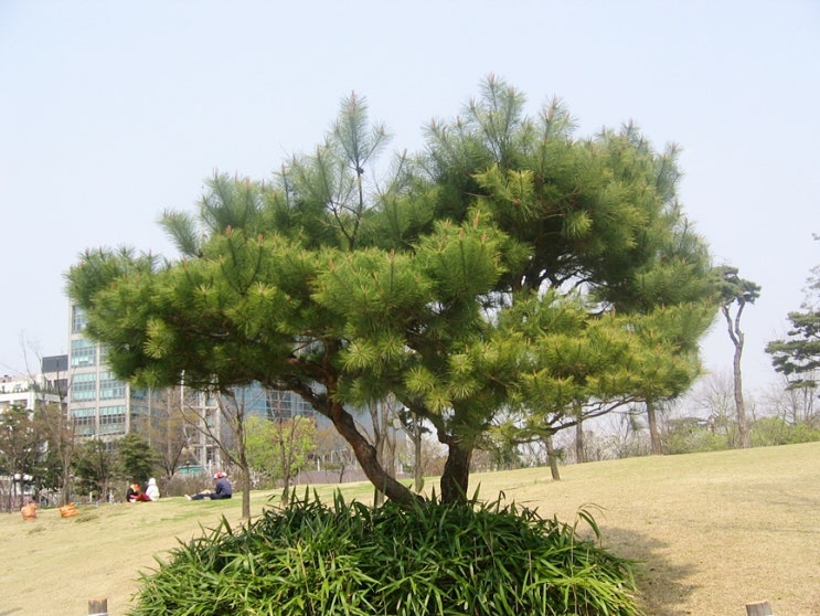  집콕으로 더욱 커지고 있는 로망 전원주택 쾌한 부동산 썰