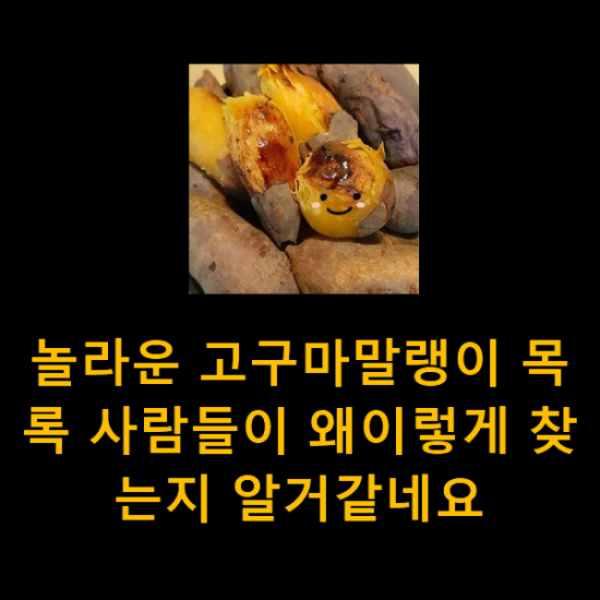 놀라운 고구마말랭이 목록 사람들이 왜이렇게 찾는지 알거같네요