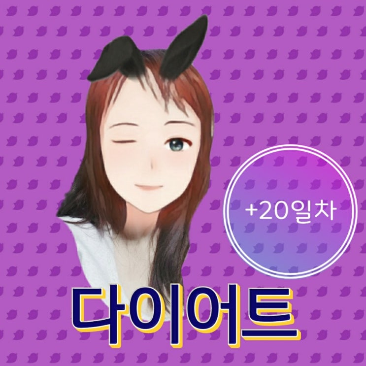  다이어트 12월 17일 20일차