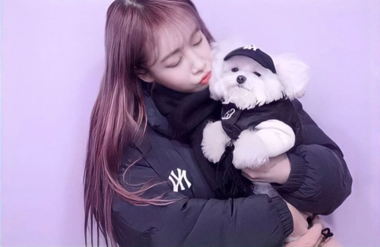 러블리즈 지애 협찬들어와서 댕댕이랑 사진 러블리즈 지애 협찬들어와서 댕댕이랑 사진