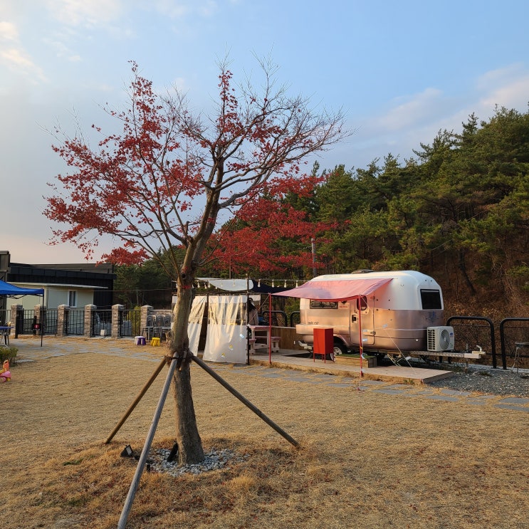  경남 펜션 추천 카라반도 있는 마산펜션 펜션쿠!